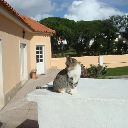 בית אירוח Casa De Flor Do Jardim