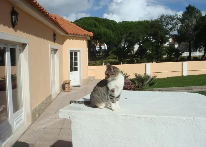 Accommodatie bij particulieren Casa De Flor Do Jardim