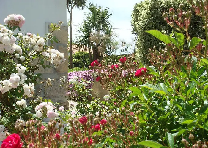 Casa De Flor Do Jardim Malveira