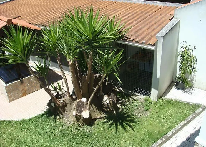בית אירוח Casa De Flor Do Jardim מלביירה